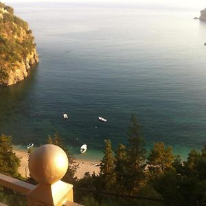 Palatino Hotel